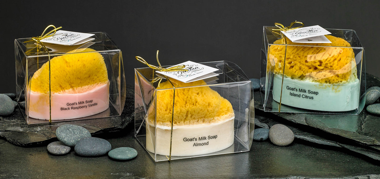 Goat's Milk Soap w/ Embedded Sea Sponge-Coconut